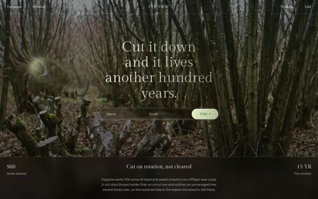 Coppice — Worked Woodland hero section